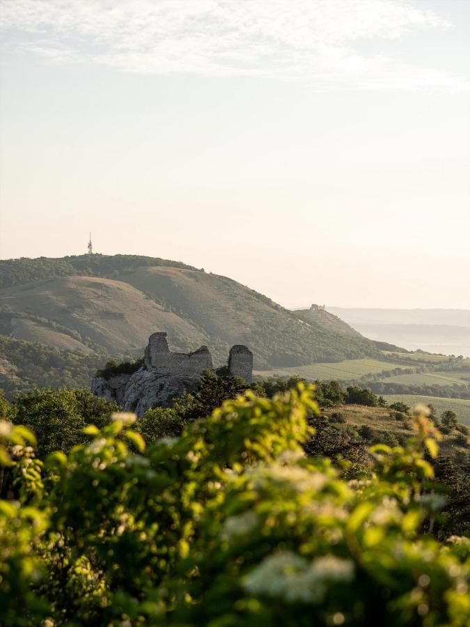 Marinada Vinicni Dum Bed & Breakfast Pavlov Eksteriør bilde
