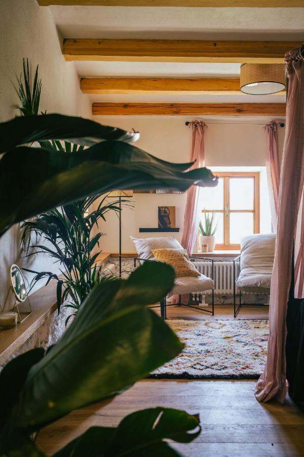 Marinada Vinicni Dum Bed & Breakfast Pavlov Eksteriør bilde